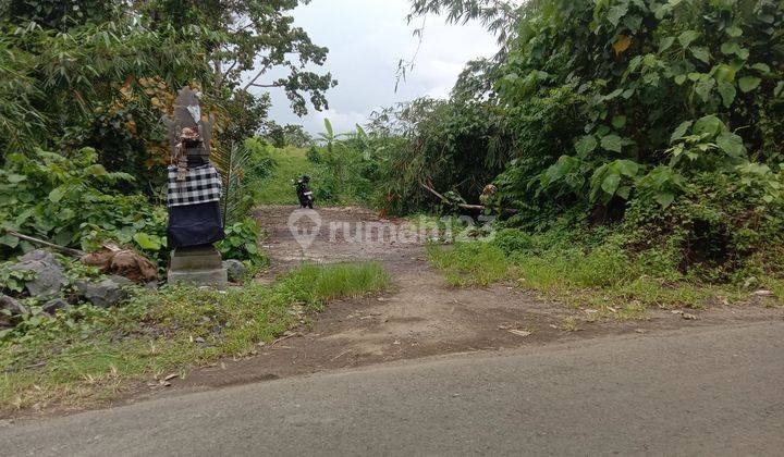 Tanah ubud Murah SHM Aspek Pemukiman 4050 m² 2