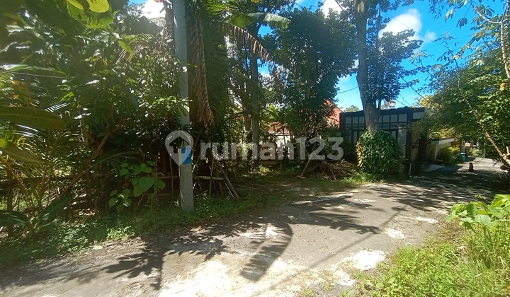 Tanah Di Pecatu Dekat Savaya 500.0 m² SHM