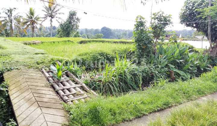 Land in Babahan with SHM Certificate, Mountain Rice Field View.