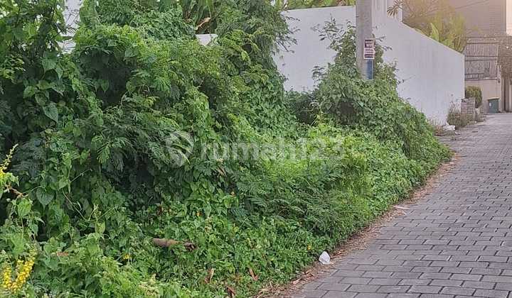 Beach Land Cemagi 300 M² SHM Beach Land Cemagi 300 M² SHM