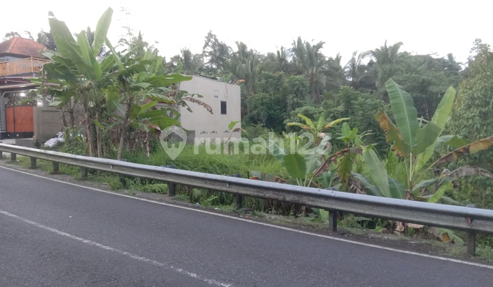 Tanah Penebel Di Jalan Utama Buruan Shm 1900 M² 2
