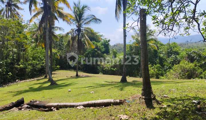Tanah Tabanan Di Antosari View Sawah Dan Laut 8800.0 M² Shm