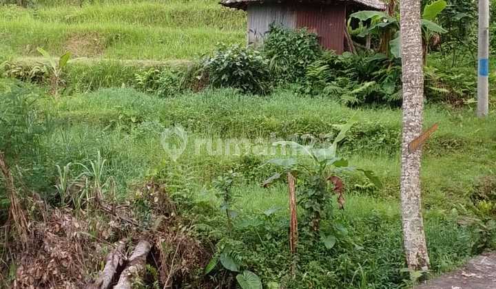 Tanah Crystal Water Bangkiang Sidem Penebel Tabanan Tanah Crystal Water Bangkiang Sidem Penebel Tabanan