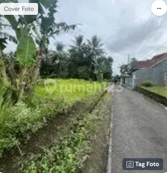 Dijual Kavling Kotak Bagus Lokasi Strategis Di Magelang 1