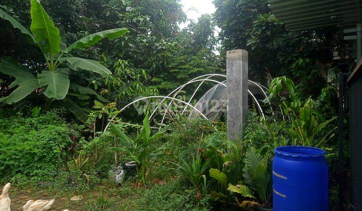 Dijual Tanah Kavling 5.000 m² Lokasi di Pinggir Jalan 7