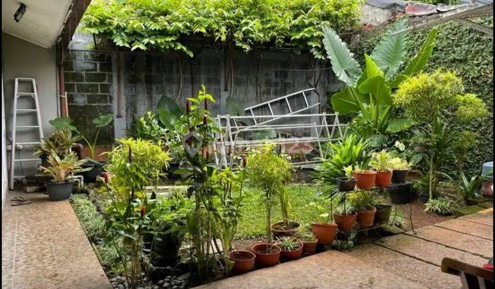 Dijual Rumah 1 Lantai Asri Tanah Luas di Sektor 3 Bintaro 6