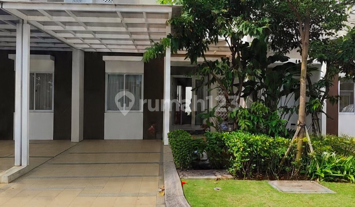 Rumah Siap Huni di Summarecon Cluster Cynthia Rumah Siap Huni di Summarecon Cluster Cynthia