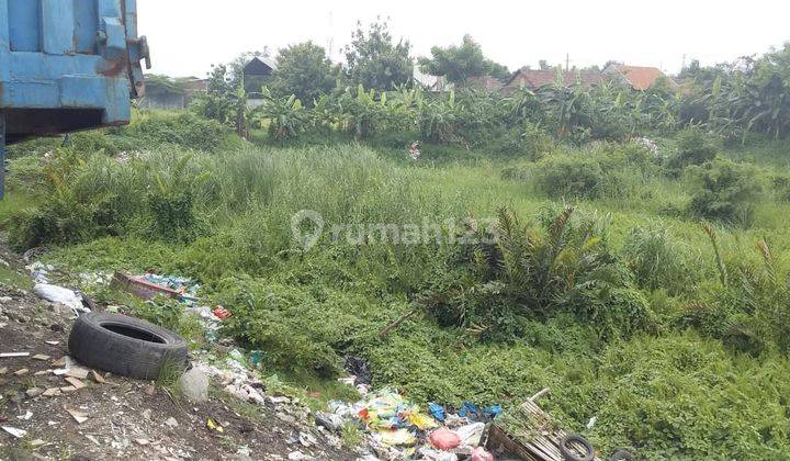 Tanah Wringin Anom Krian 5