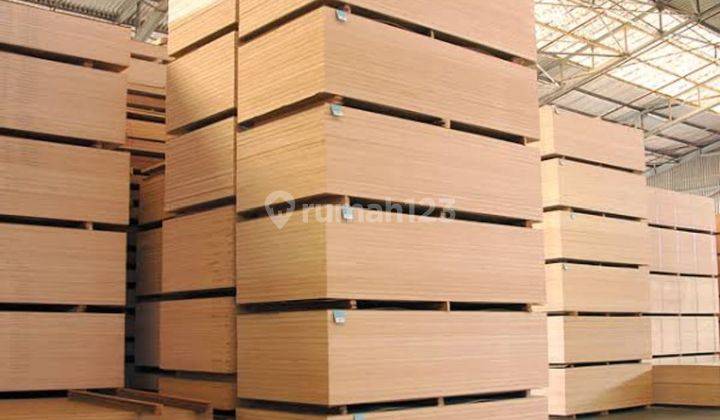 Pabrik Triplek Dan Mesin Masih Berproduksi di Jombang Jawa Timur 3