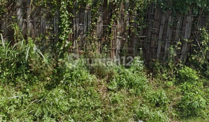 Tanah Nol Jalan Trawas Mojokerto strategis dan view bagus Tanah Nol Jalan Trawas Mojokerto strategis dan view bagus