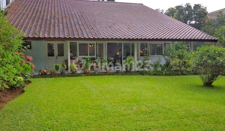 Safari Park Villa SHM Wide Road Square Land