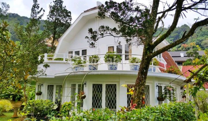 Villa Puncak Pass Spool Sangat Terawat Jual Cepat Bu Villa Puncak Pass Spool Sangat Terawat Jual Cepat Bu