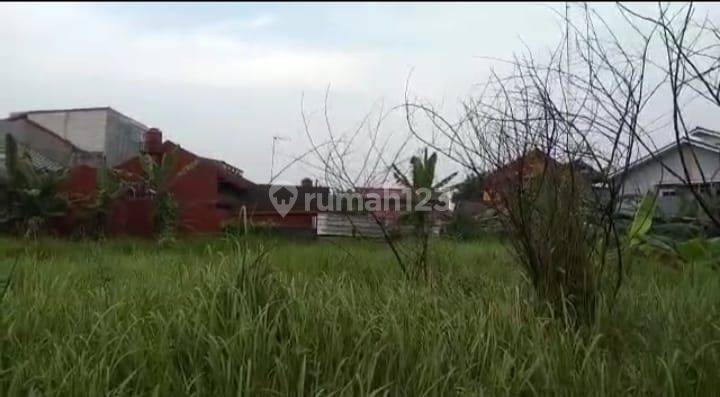 Tanah Bebas Banjir Ciketing Mustikajaya Bekasi 3