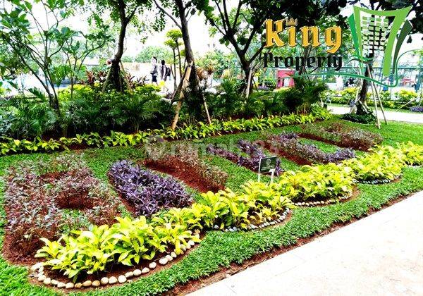 View Menarik Pool 2br 38m2 Thp2 Green Bay Pluit Greenbay Furnish 8