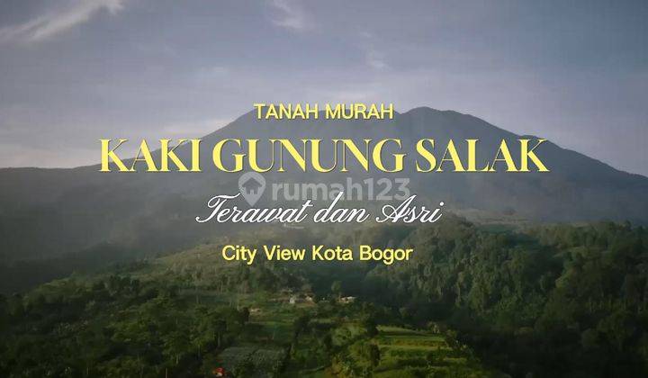 JUAL TANAH CITY VIEW KOTA BOGOR INCLUDE 40 POHON DURIAN SUDAH BERBUAH 1