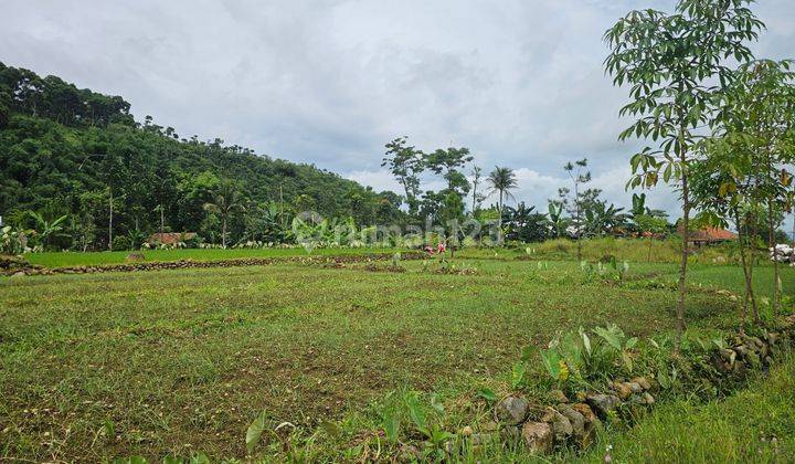 JUAL TANAH DI GUNUNG BUNDER PAMIJAHAN, VIEW GUNUNG SALAK 1