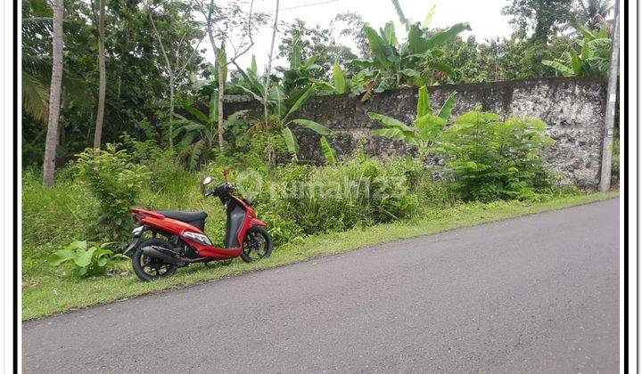 Di Jual Lahan Pekarangan Belakang Balkondes Sentolo Area Pengasih 1