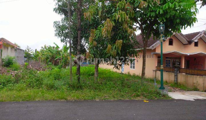 Tanah di Cepit Pendowoharjo, Harga 2,3 Jt Lt230 Cocok Untuk Kos Kosan SHM Siap Ajb Non Kaplingan Jogja 7