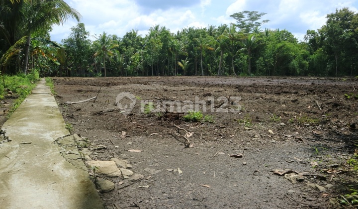 Tanah Barat Luas Ideal Include Fasum Dekat Taman Bendungan Kamijoro SHM Jogja 2