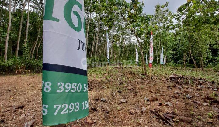Tanah Kavling Daerah Giripeni Jalan Wates Siap Untuk Dibangun Perumahan  3