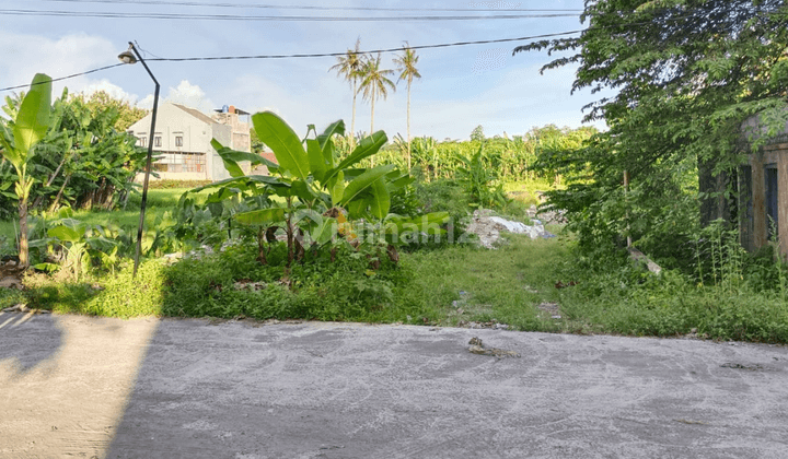 Tanah Dekat Kampus Uii Murah, Cocok Untuk Kos Siap Ajb Jogja 1