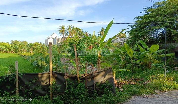 Tanah Dekat Kampus Uii Murah, Cocok Untuk Kos Siap Ajb Jogja 2