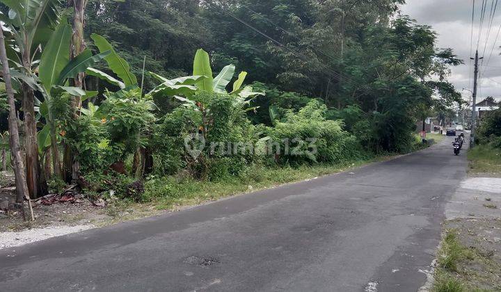Tanah di Gandok, Wedomartani Cocok Untuk Hunian Siap Ajb Jogja 2