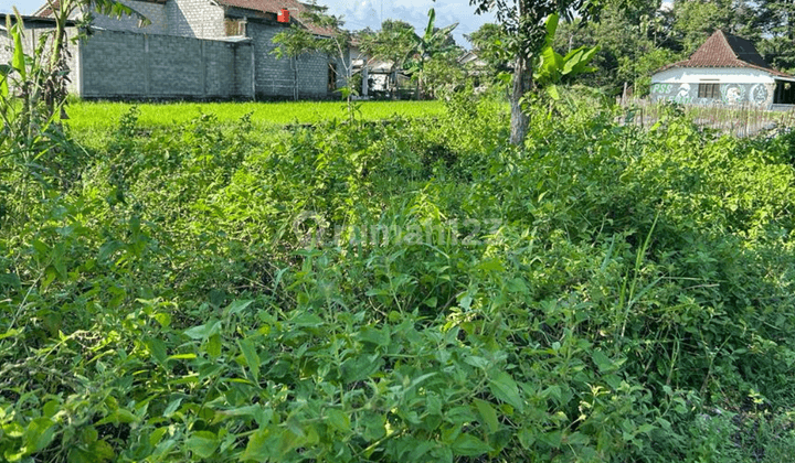 Tanah Di Purwomartani Dekat Jalan Tajem Cocok Untuk Hunian SHM Jogja 1