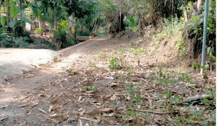 Di Jual Tanah Di Sendangrejo Harga 1 Jutaan Jogja 1