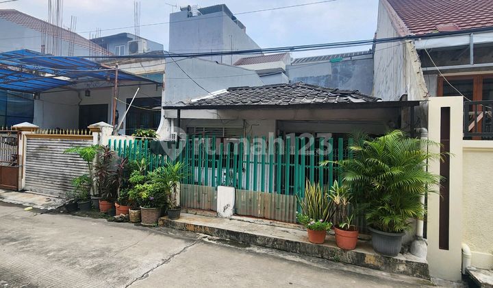 For Sale Old House Pluit Putra, Pluit North Jakarta For Sale Old House Pluit Putra, Pluit North Jakarta