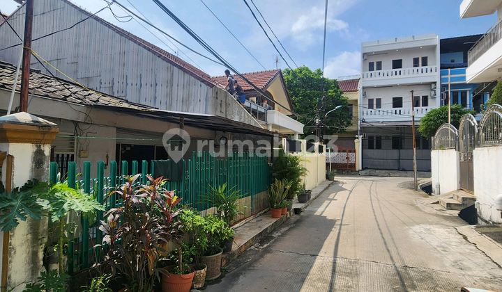Dijual Rumah Tua Pluit Putra, Pluit Jakarta Utara 2