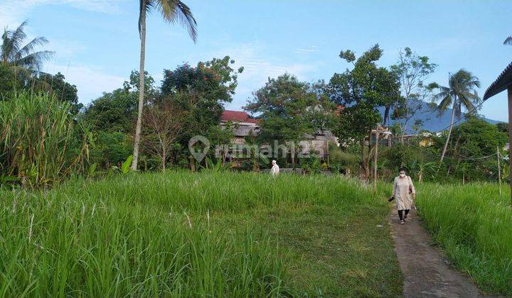 Tanah di Lokasi Strategis Dekat Exit Tol Caringin, Cimande, Bogor 1