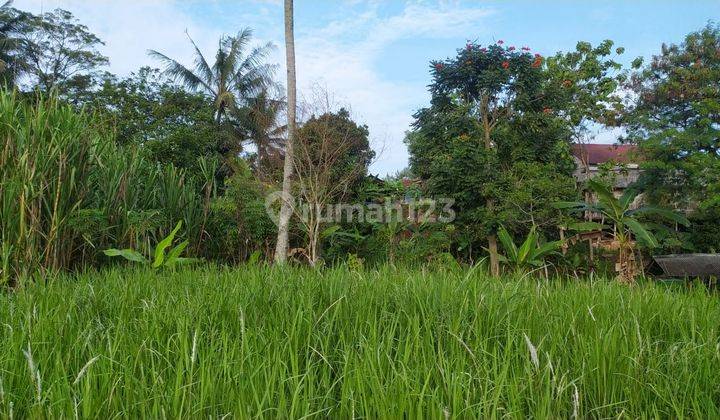 Tanah di Lokasi Strategis Dekat Exit Tol Caringin, Cimande, Bogor 2