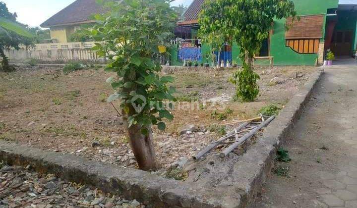 Tanah Shmp di Kalitirto Berbah Sleman Dkt Pabrik Mek Utara Polsek Berbah  2