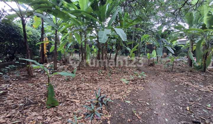 Tanah Rata Persegi Di Harjamukti Cimanggis