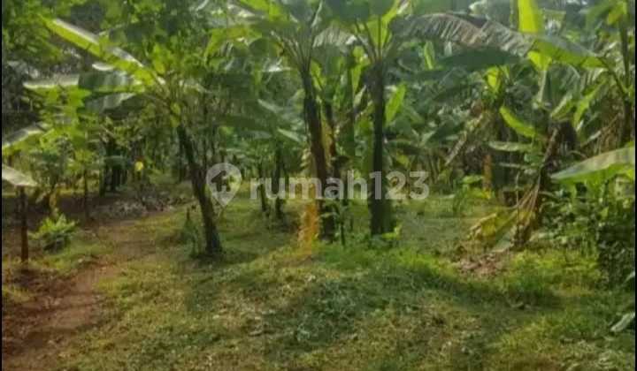 Tanah Di Balaraja Shm 2.5 Ha Cocok Untuk Pabrik Dan Gudang