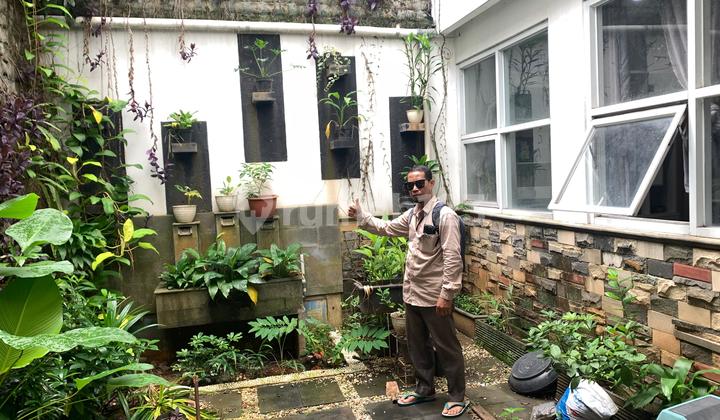 House In Town House 2