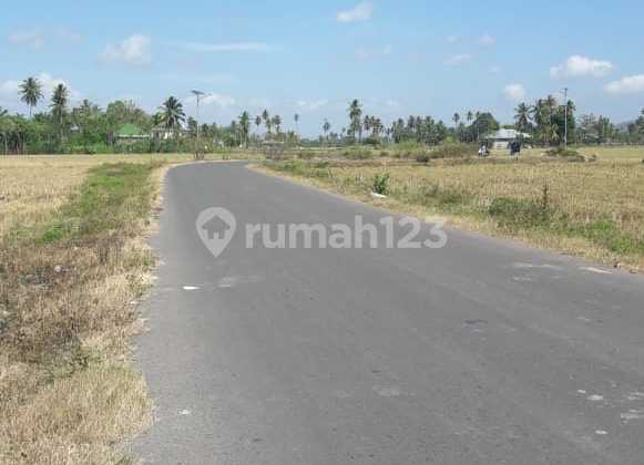 Tanah 1,2 Ha Lokasi Strategis Dekat Rumah Sakit dan Akses Bandara Tanah 1,2 Ha Lokasi Strategis Dekat Rumah Sakit dan Akses Bandara