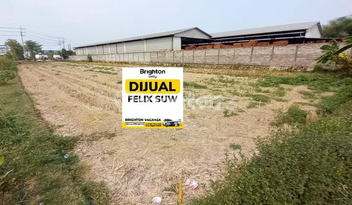 TANAH KERING DI RAYA KREMBUNG JASEM NGORO MOJOKERTO 