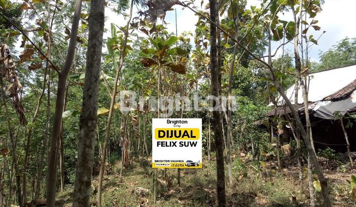 TANAH DI DAYUREJO PRIGEN PANDAAN PASURUAN TANAH DI DAYUREJO PRIGEN PANDAAN PASURUAN
