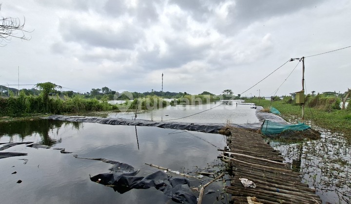 Tanah Tambak Udang di Area Jabon Sidoarjo Tanah Tambak Udang di Area Jabon Sidoarjo