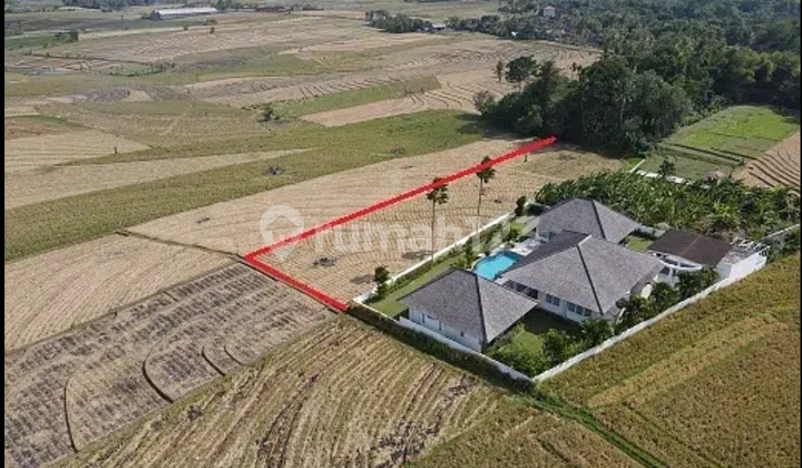 Agricultural Land Near Klecung Beach, Tegalmengkeb, Tabanan
