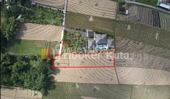 Agricultural Land Near Klecung Beach, Tegalmengkeb, Tabanan