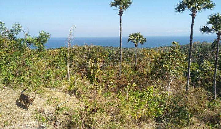 Cheap land for sale with unblock sea views in West Seraya Karangasem 1