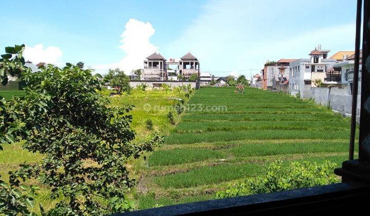 House for rent with wide yard rice field view in West Denpasar 2