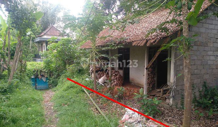 Tanah Hook Murah Dekat Green School Bali Cocok Untuk Invest 2
