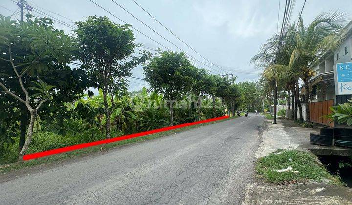 Dijual Tanah Jalan Utama Tumbak Bayuh Pererenan Canggu 1