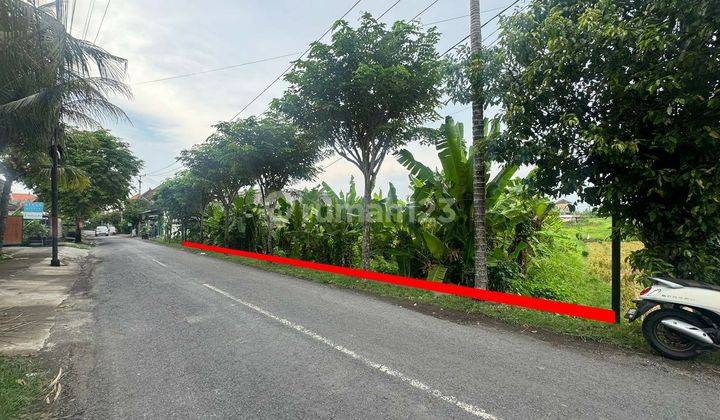 Dijual Tanah Jalan Utama Tumbak Bayuh Pererenan Canggu 2