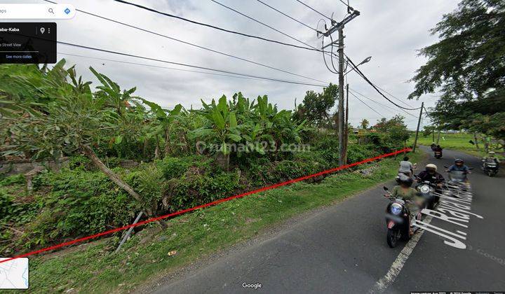 Dijual Tanah Murah Jalan Utama Kaba Kaba Tabanan 2