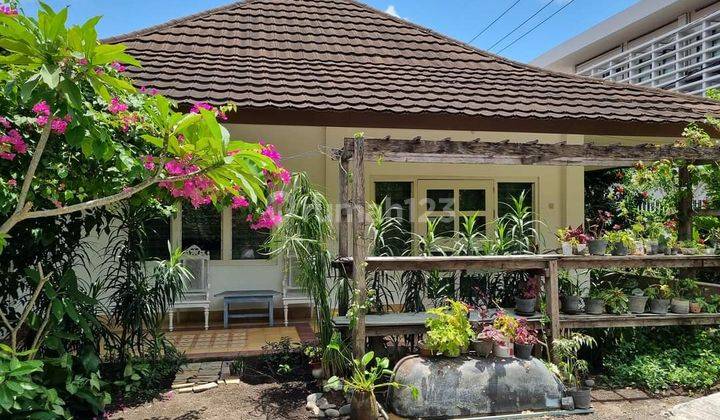 Clean Well Maintained Classic Colonial Style House in the Middle of Denpasar City 2